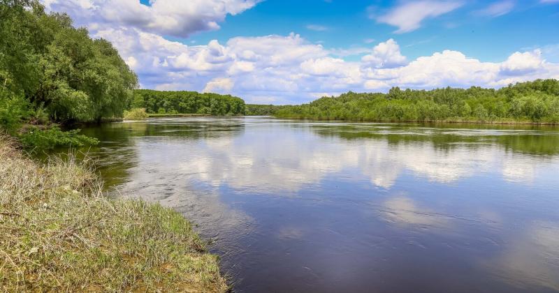 Забруднена вода з території Росії рухається по річці Десна. Найсильніше забруднення спостерігається в Чернігові.