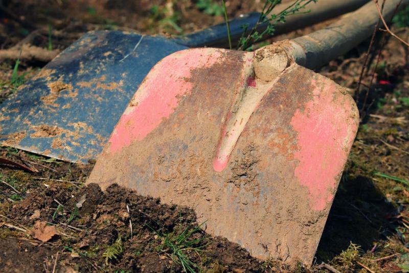 Експерти поділилися порадами щодо того, які грядки слід підготувати до зимового періоду шляхом перекопування.