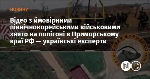 Відеоматеріали, на яких, ймовірно, зображені військові Північної Кореї, були зняті на військовому полігоні в Приморському краї Росії, стверджують українські фахівці.