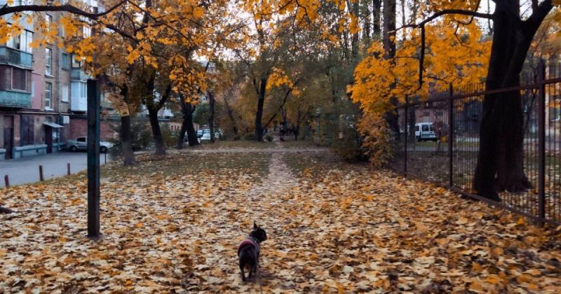 Прогноз погоди на 7 листопада від метеорологів.