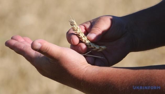 У свіжому прогнозі USDA не змінив показники щодо експорту та виробництва зерна в Україні.